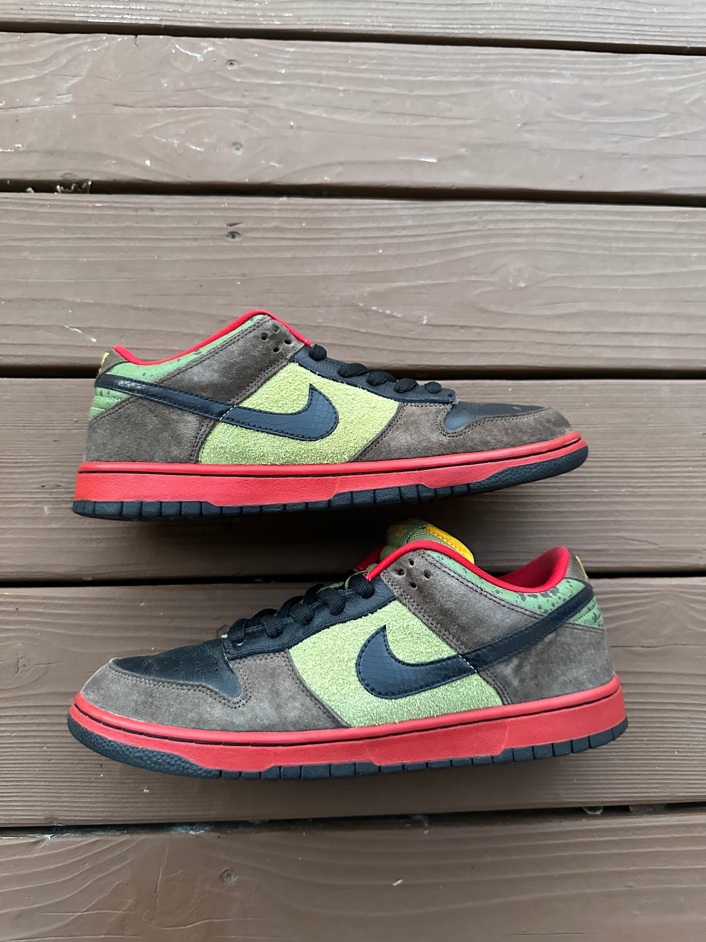 Size 10.5 - Nike Dunk Low Premium SB Asparagus