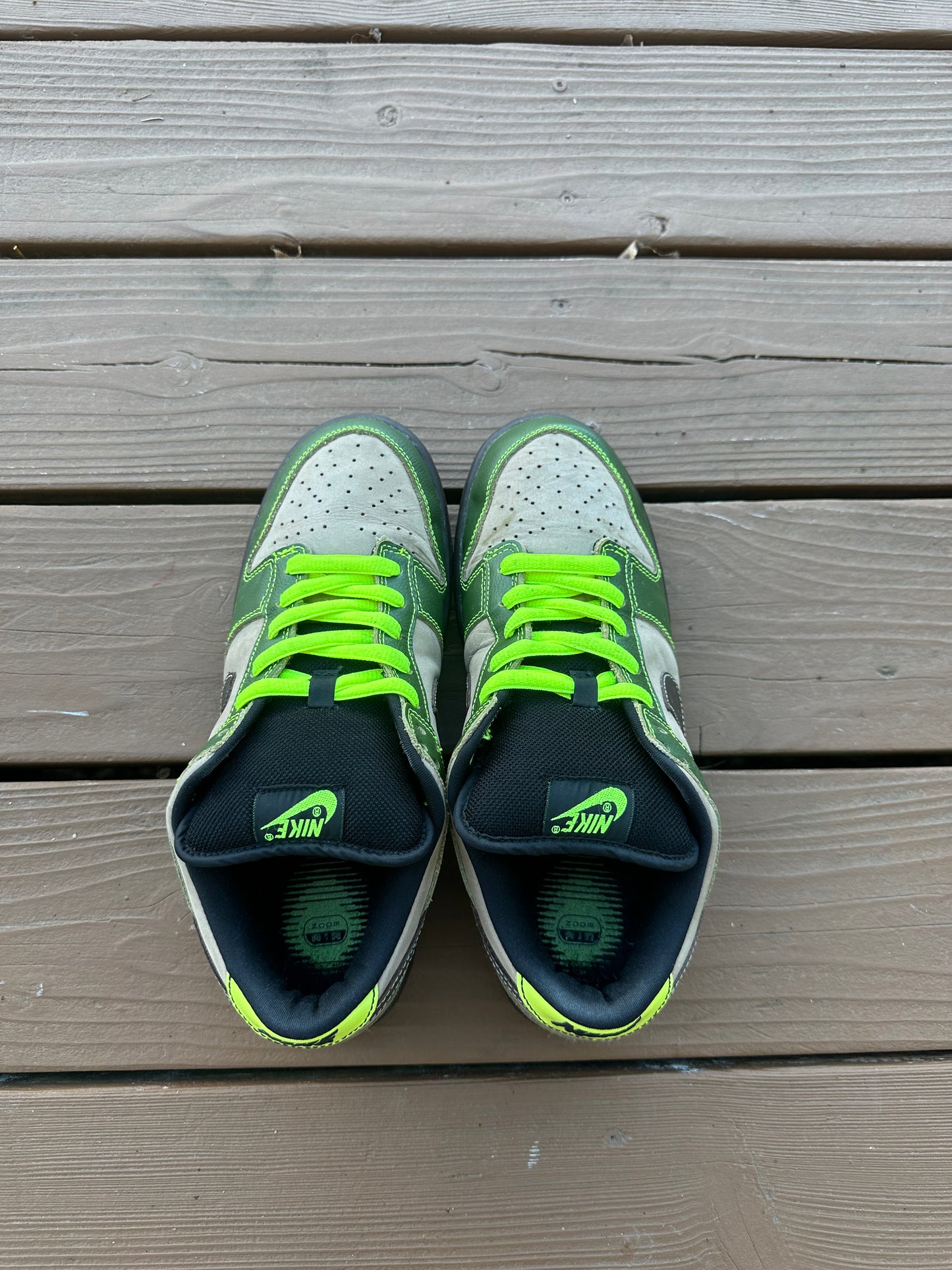 Size 10 - Nike Dunk Low Pro SB Jedi