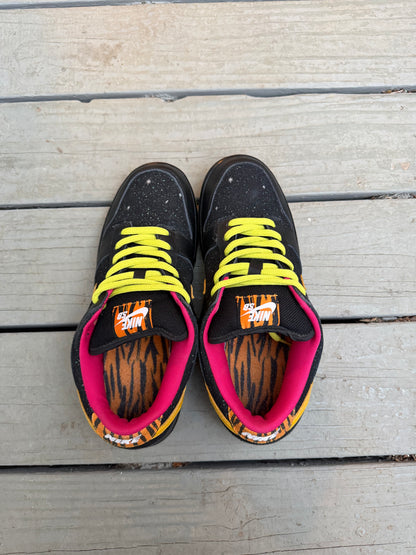 Size 10.5 - Nike Dunk Low Premium SB Space Tiger