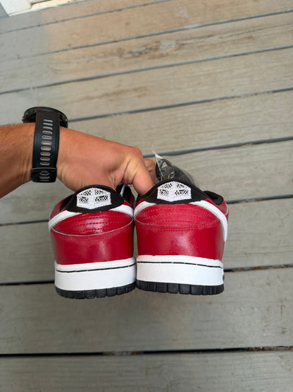 Size 10.5 - Nike Dunk Low Premium SB Kuwahara Et