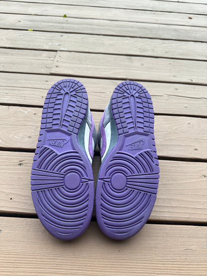Size 10.5 - Nike Dunk Low Pro SB Purple Pigeon