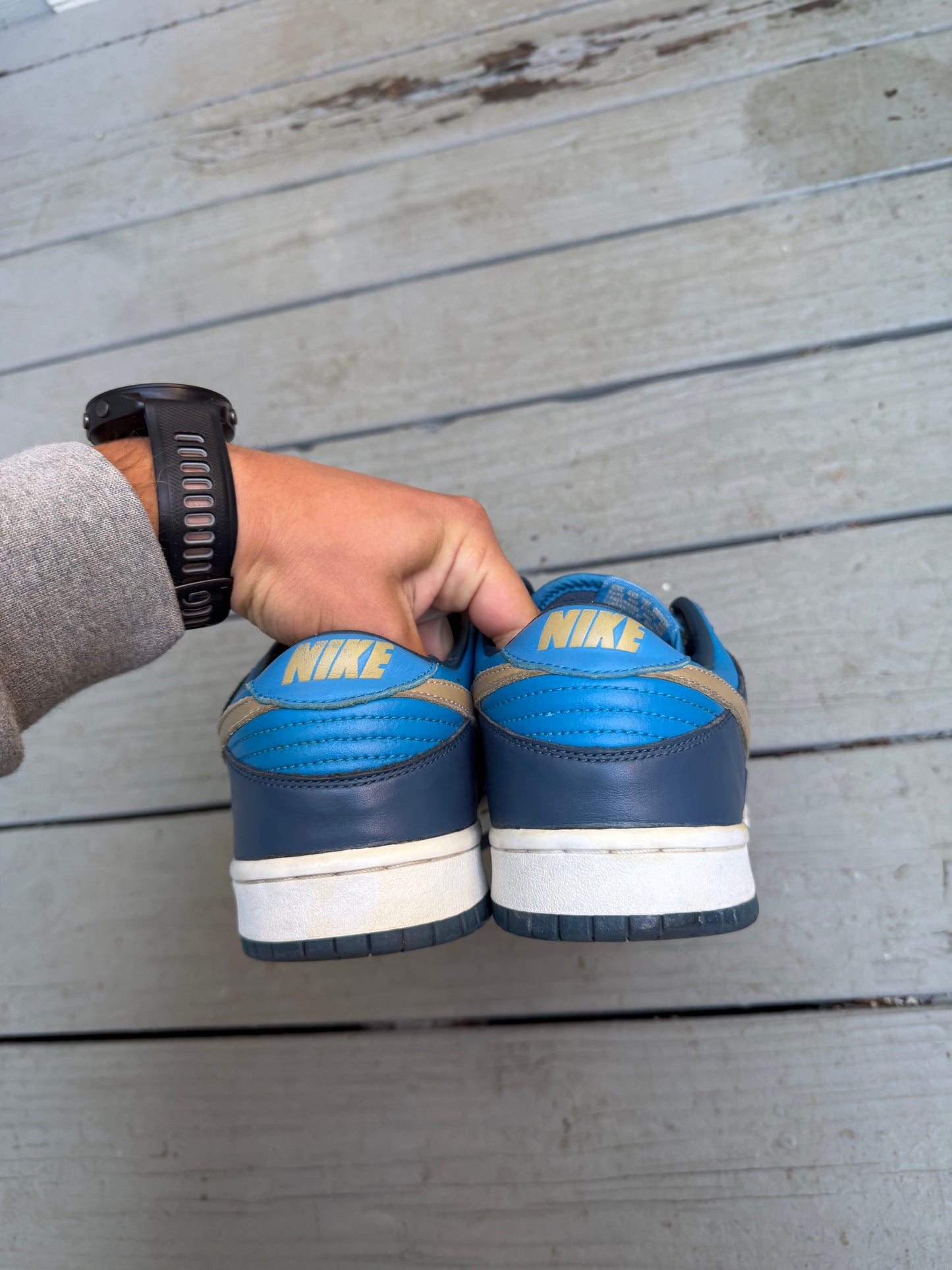 Size 10 - Nike Dunk Low Pro Stillwater