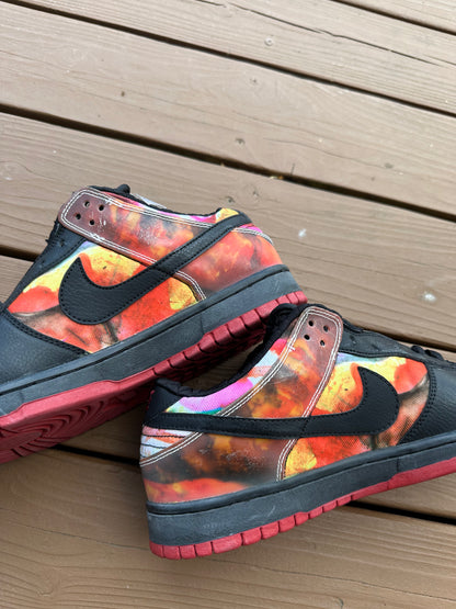 Size 11 - Nike Dunk Low Pro SB Pushead
