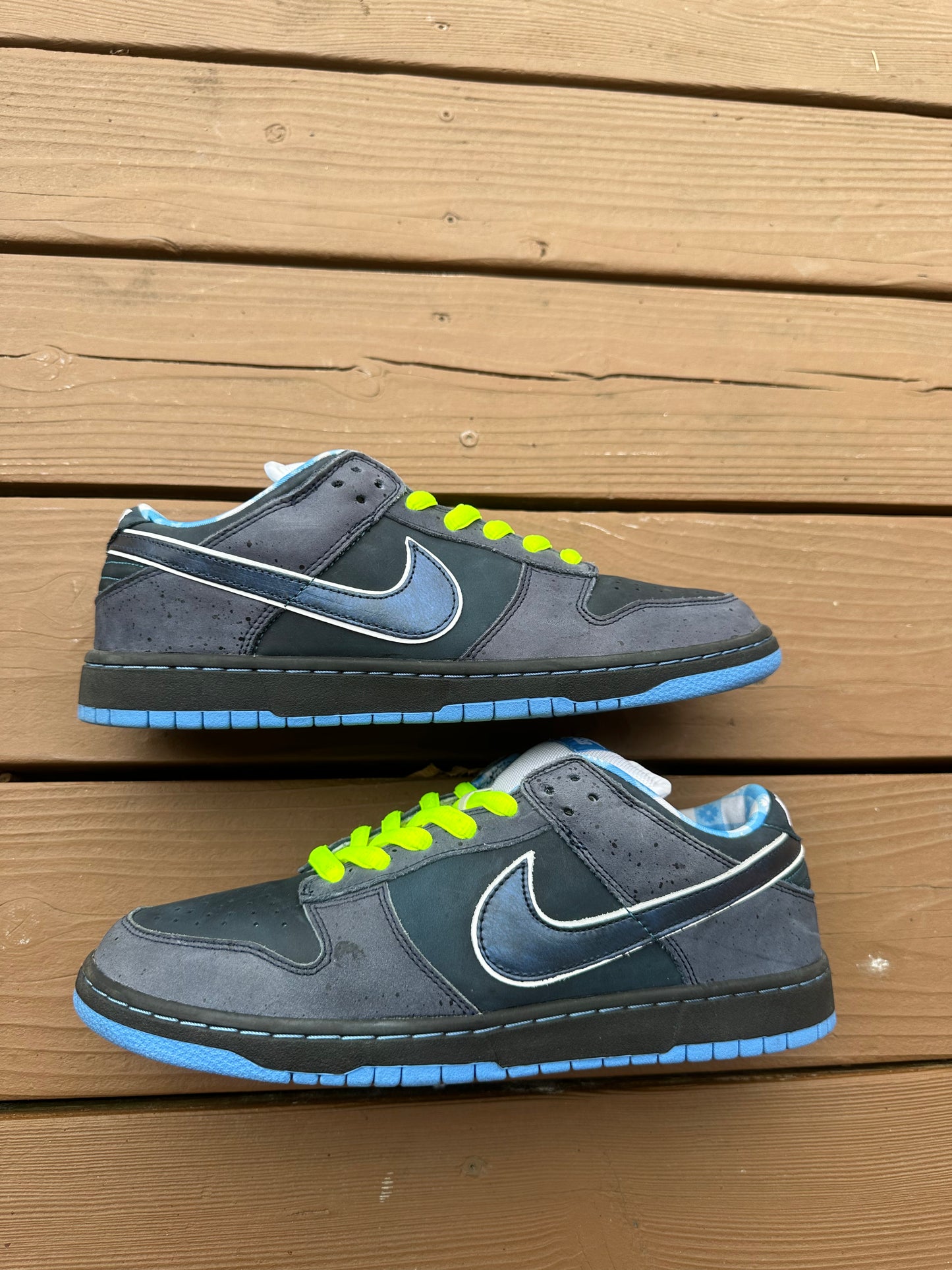 Size 11 - Concepts x Nike SB Dunk Low Premium Blue Lobster