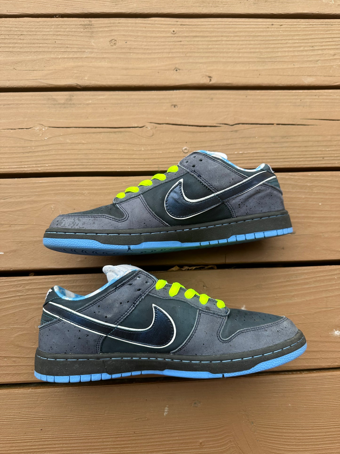 Size 11 - Concepts x Nike SB Dunk Low Premium Blue Lobster