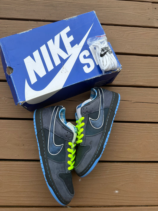 Size 11 - Concepts x Nike SB Dunk Low Premium Blue Lobster