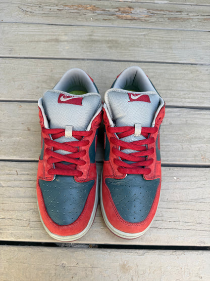 Size 10.5 - Nike Dunk Low Pro SB Shark