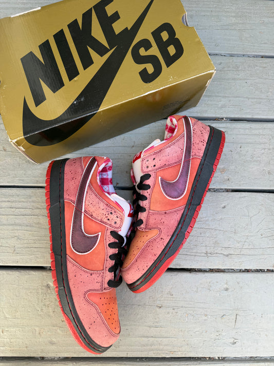 Size 11 - Concepts x Nike SB Dunk Low Premium Red Lobster