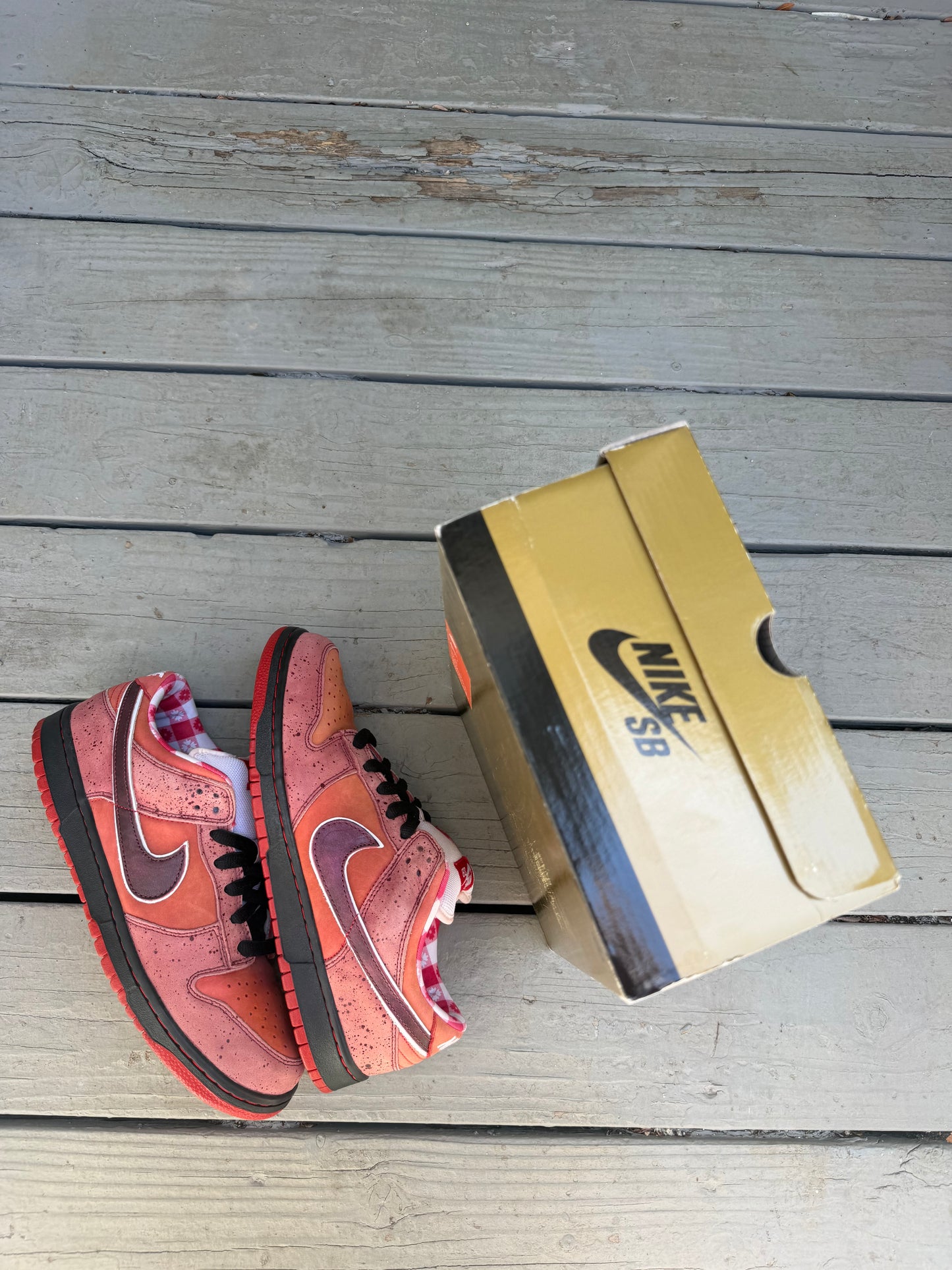 Size 11 - Concepts x Nike SB Dunk Low Premium Red Lobster
