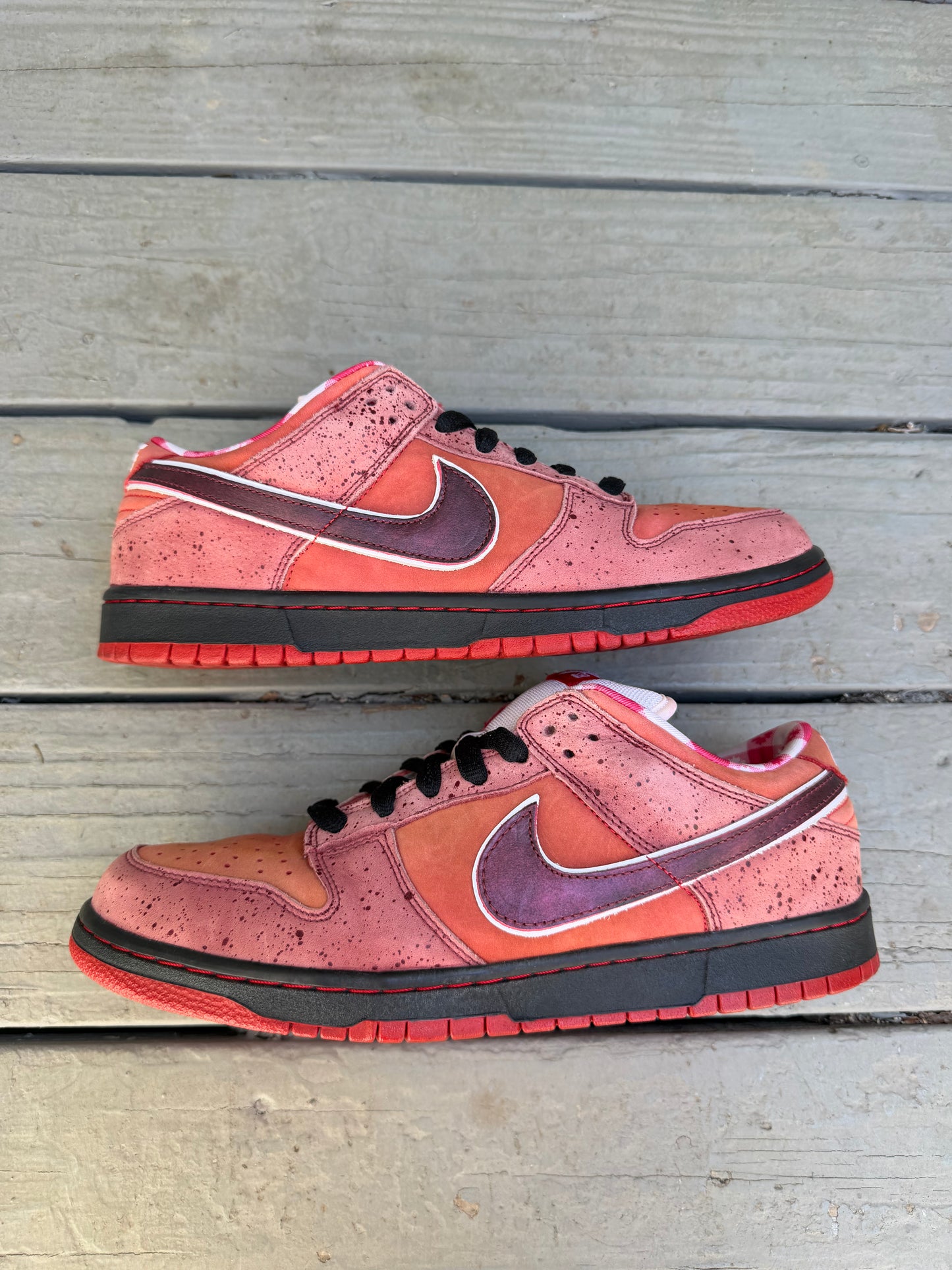 Size 11 - Concepts x Nike SB Dunk Low Premium Red Lobster
