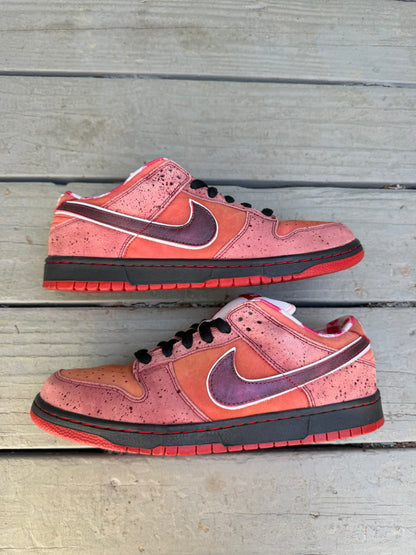 Size 11 - Concepts x Nike SB Dunk Low Premium Red Lobster