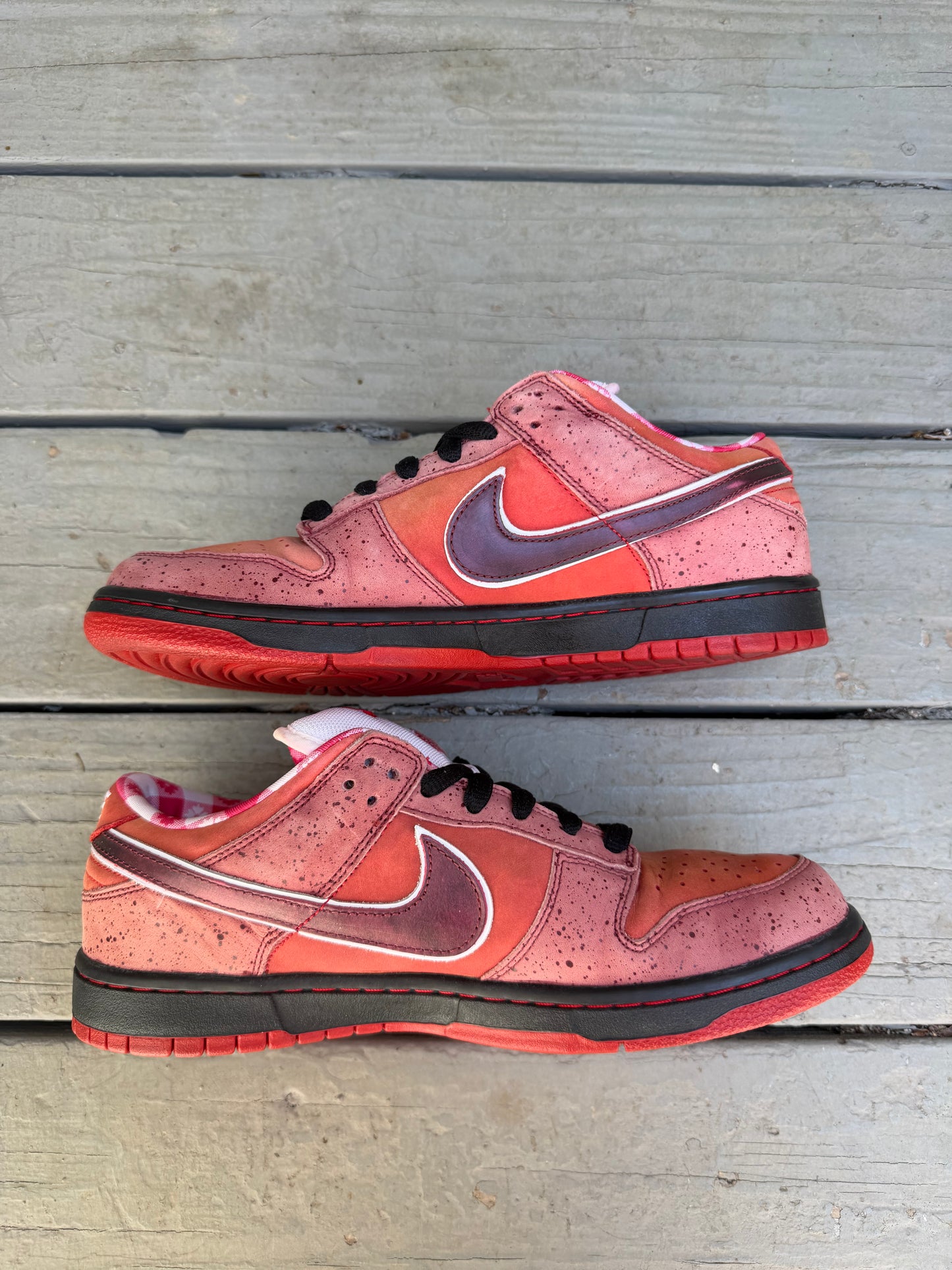 Size 11 - Concepts x Nike SB Dunk Low Premium Red Lobster
