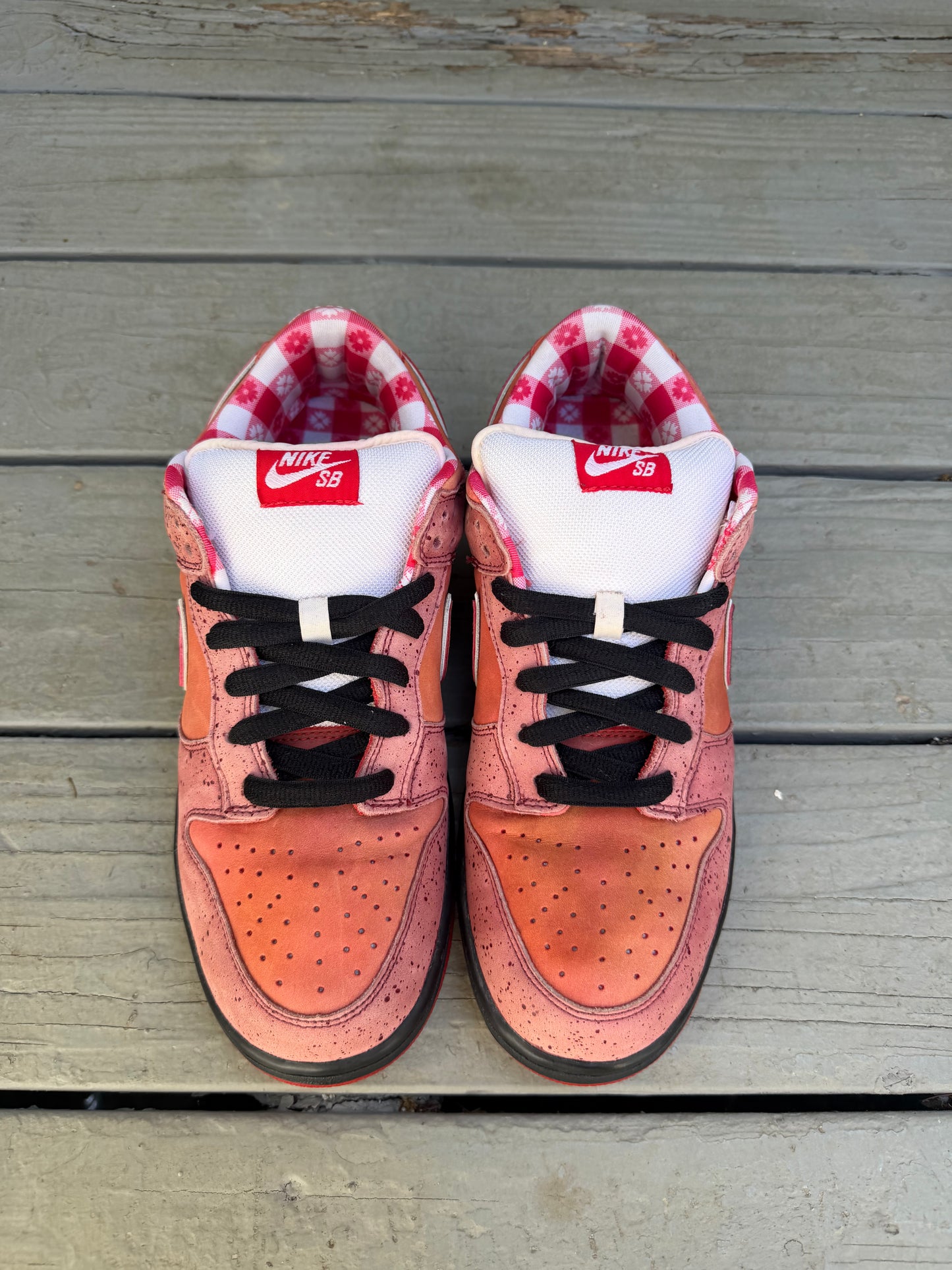 Size 11 - Concepts x Nike SB Dunk Low Premium Red Lobster