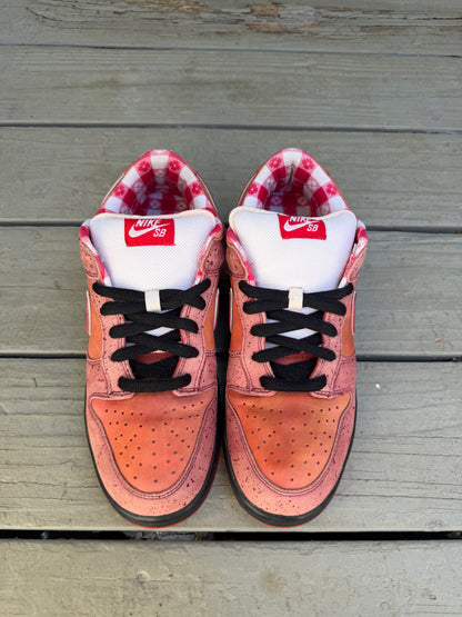 Size 11 - Concepts x Nike SB Dunk Low Premium Red Lobster