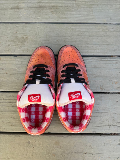 Size 11 - Concepts x Nike SB Dunk Low Premium Red Lobster