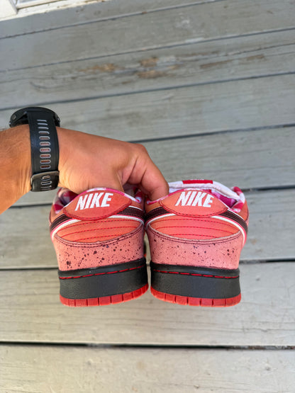 Size 11 - Concepts x Nike SB Dunk Low Premium Red Lobster