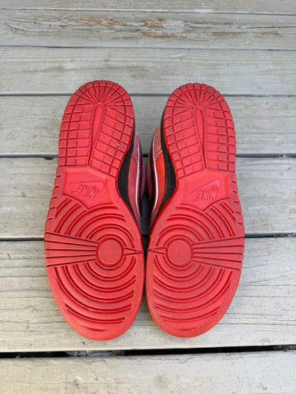 Size 11 - Concepts x Nike SB Dunk Low Premium Red Lobster