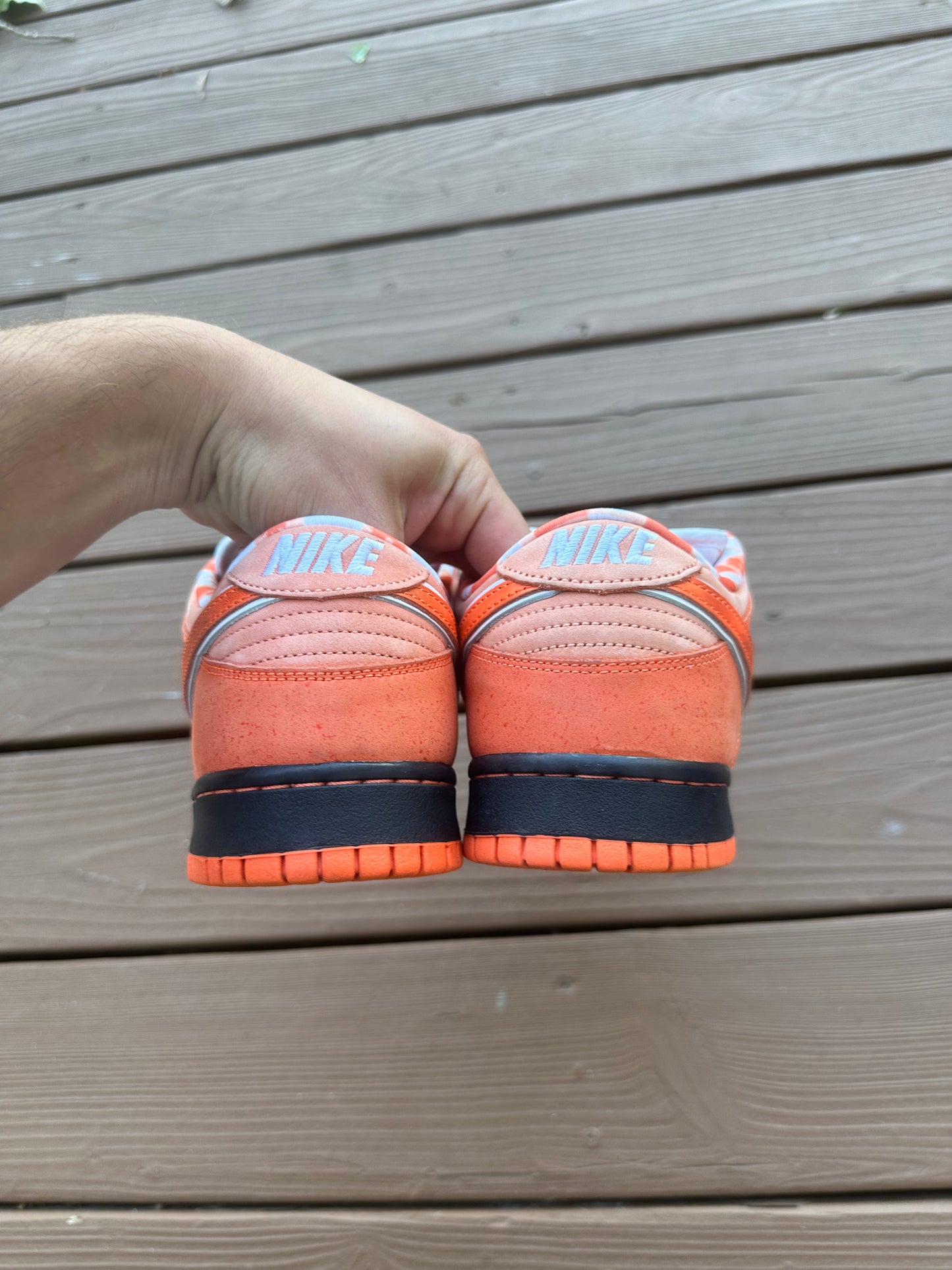 Size 9 - Concepts x Nike SB Dunk Low QS Orange Lobster