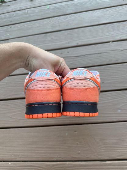 Size 9 - Concepts x Nike SB Dunk Low QS Orange Lobster