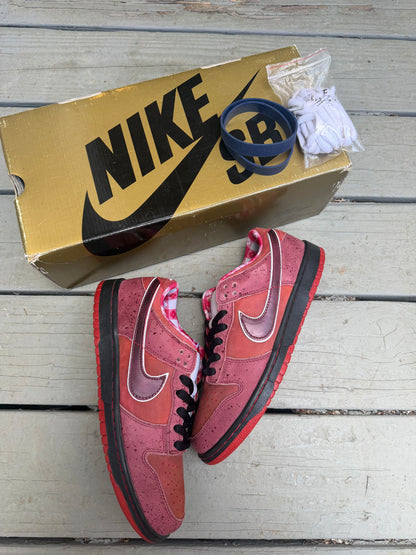 Size 8.5 - Concepts x Nike SB Dunk Low Premium Red Lobster