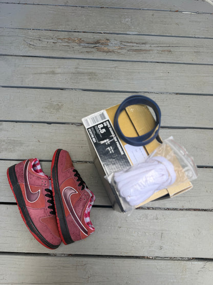 Size 8.5 - Concepts x Nike SB Dunk Low Premium Red Lobster