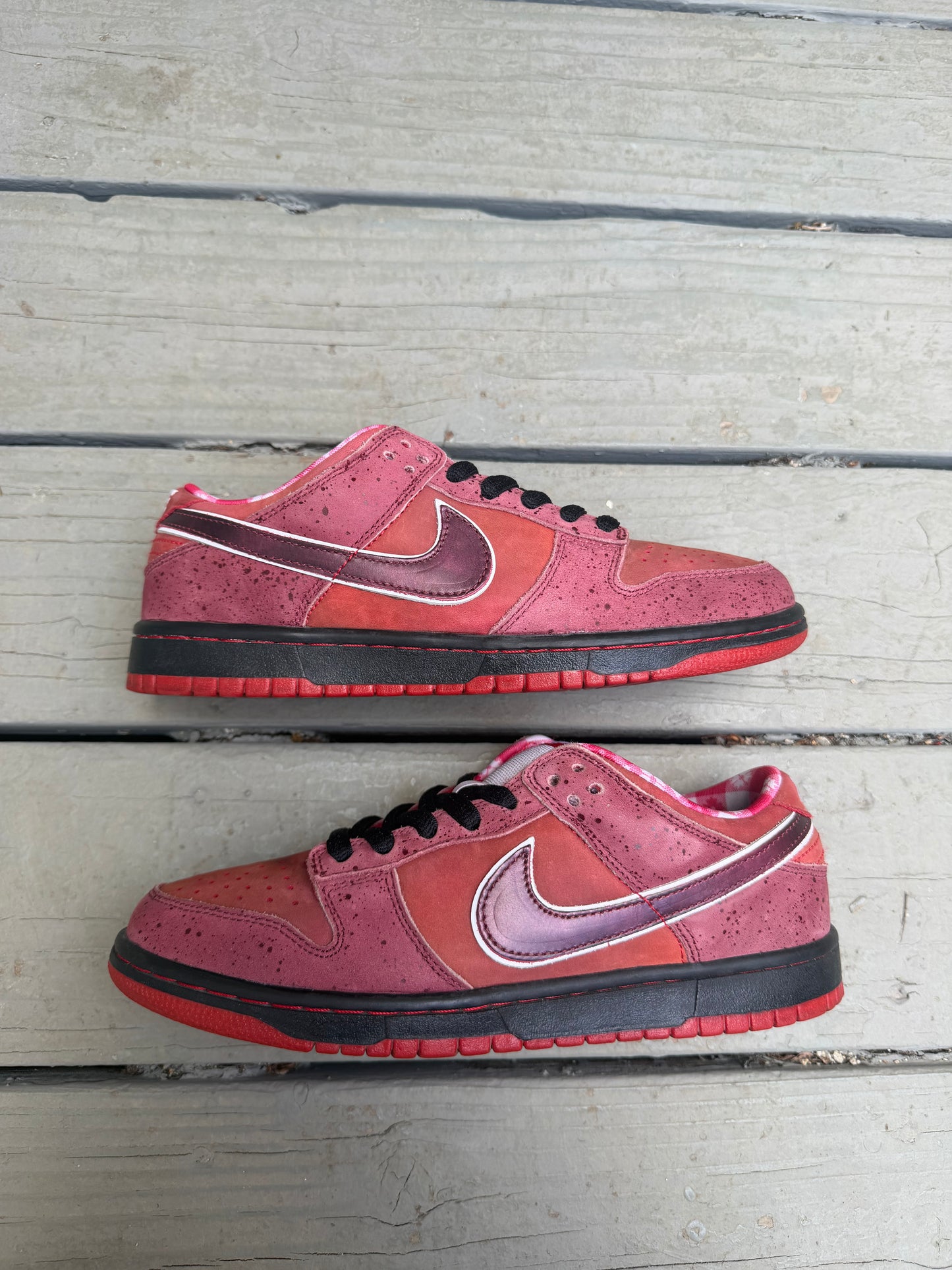 Size 8.5 - Concepts x Nike SB Dunk Low Premium Red Lobster