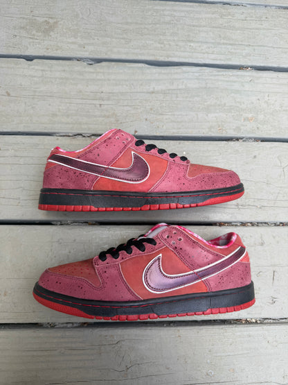 Size 8.5 - Concepts x Nike SB Dunk Low Premium Red Lobster
