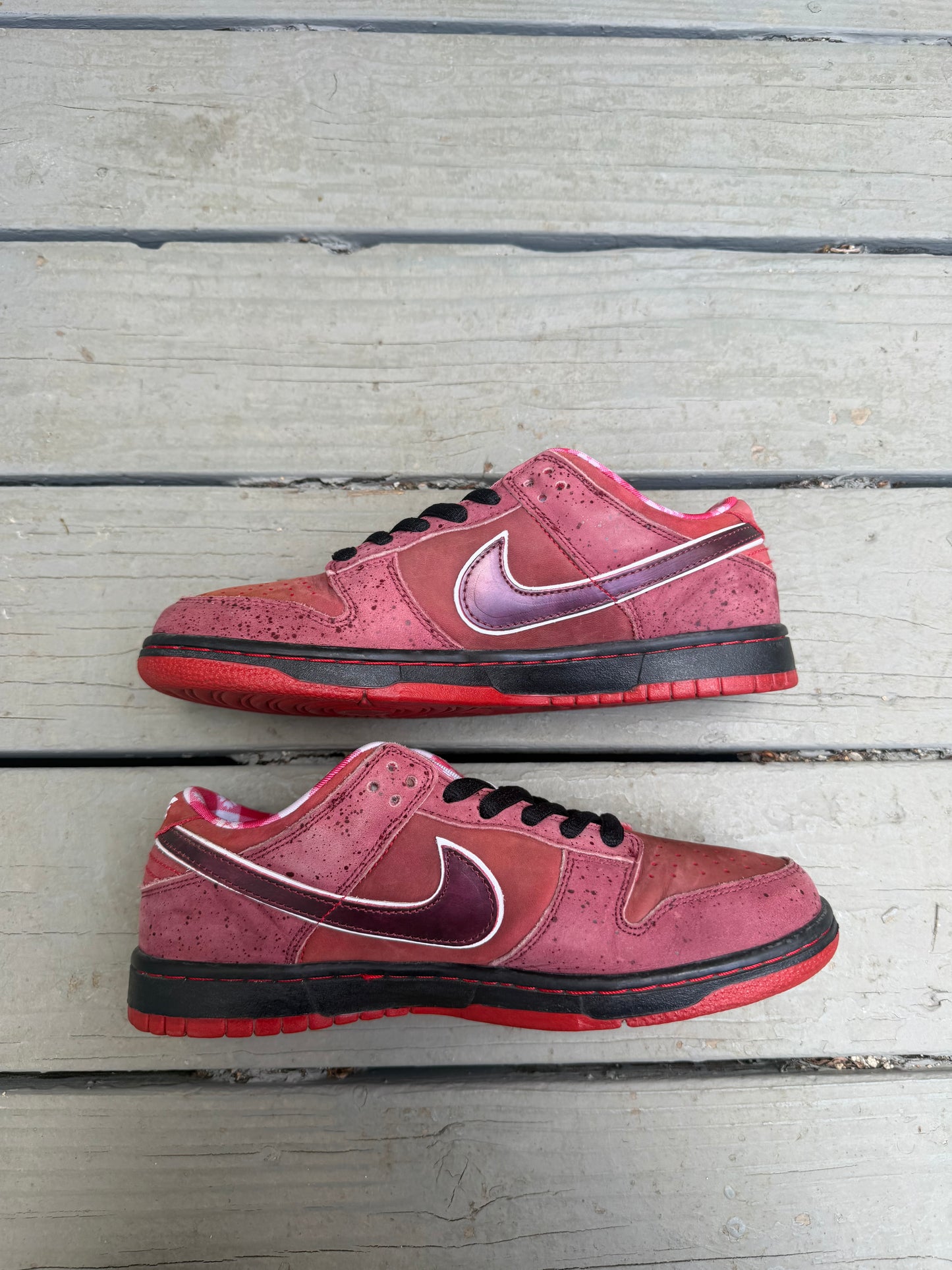Size 8.5 - Concepts x Nike SB Dunk Low Premium Red Lobster