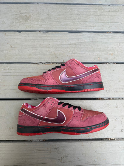 Size 8.5 - Concepts x Nike SB Dunk Low Premium Red Lobster