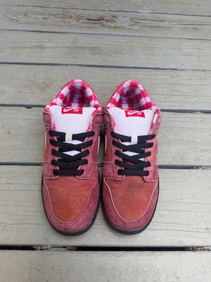 Size 8.5 - Concepts x Nike SB Dunk Low Premium Red Lobster