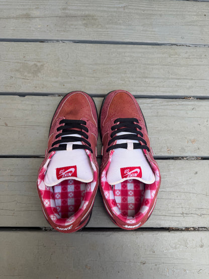 Size 8.5 - Concepts x Nike SB Dunk Low Premium Red Lobster