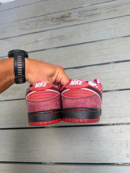 Size 8.5 - Concepts x Nike SB Dunk Low Premium Red Lobster