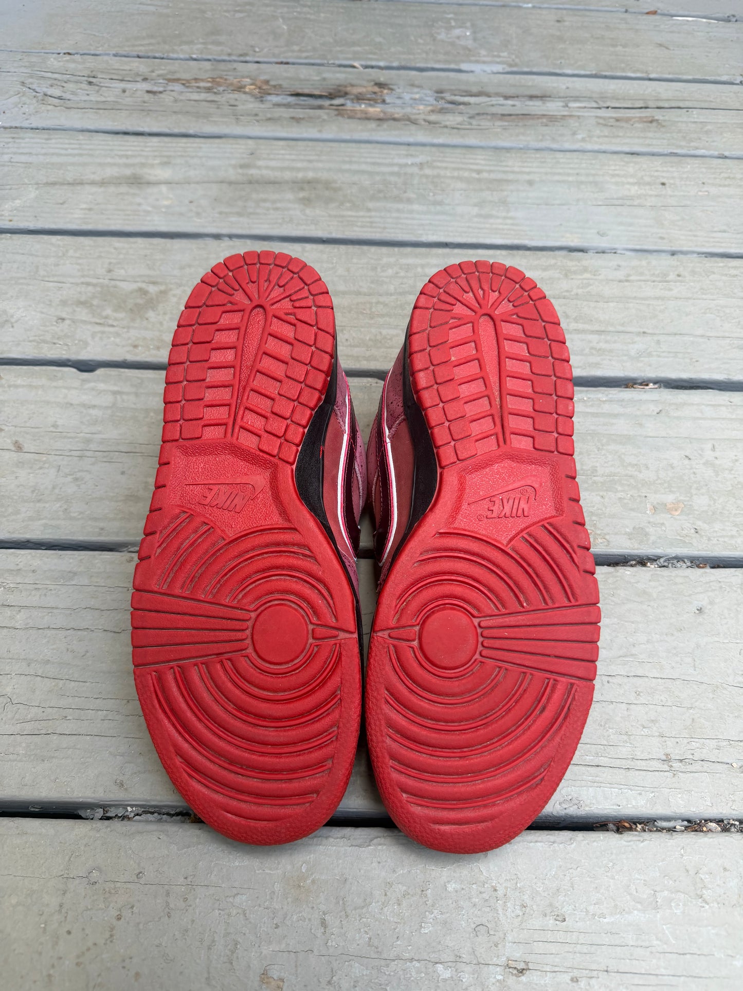 Size 8.5 - Concepts x Nike SB Dunk Low Premium Red Lobster