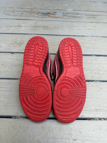Size 8.5 - Concepts x Nike SB Dunk Low Premium Red Lobster
