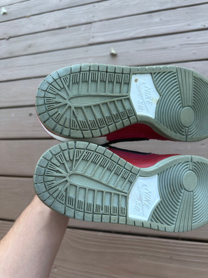Size 10 - Nike Dunk Low Premium SB Roller Derby