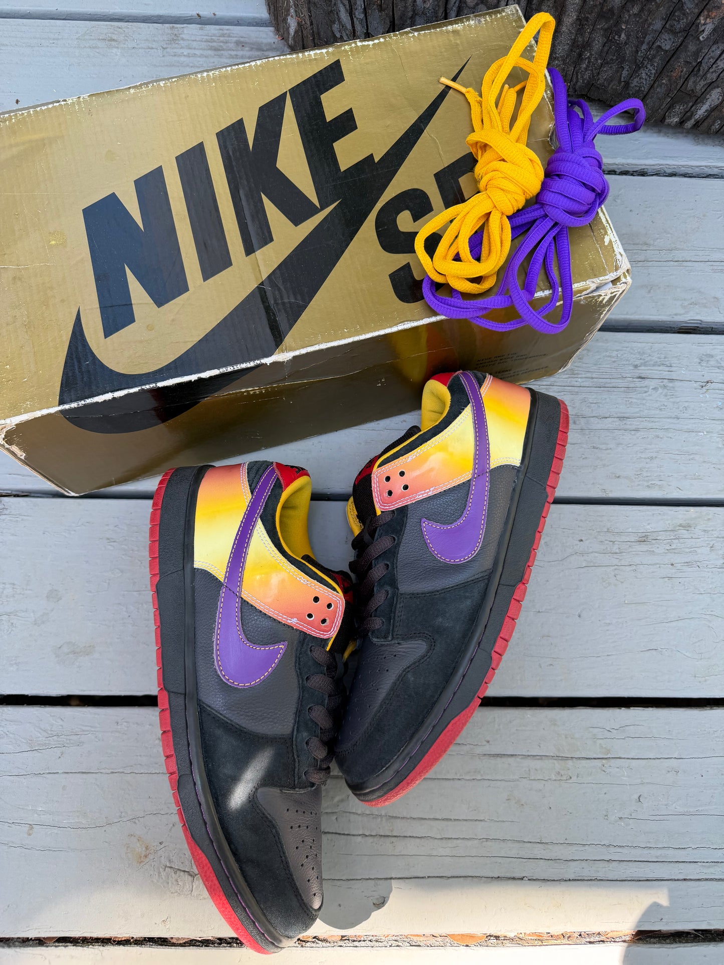 Size 9.5 - Nike Dunk Low Pro SB Appetite For Destruction