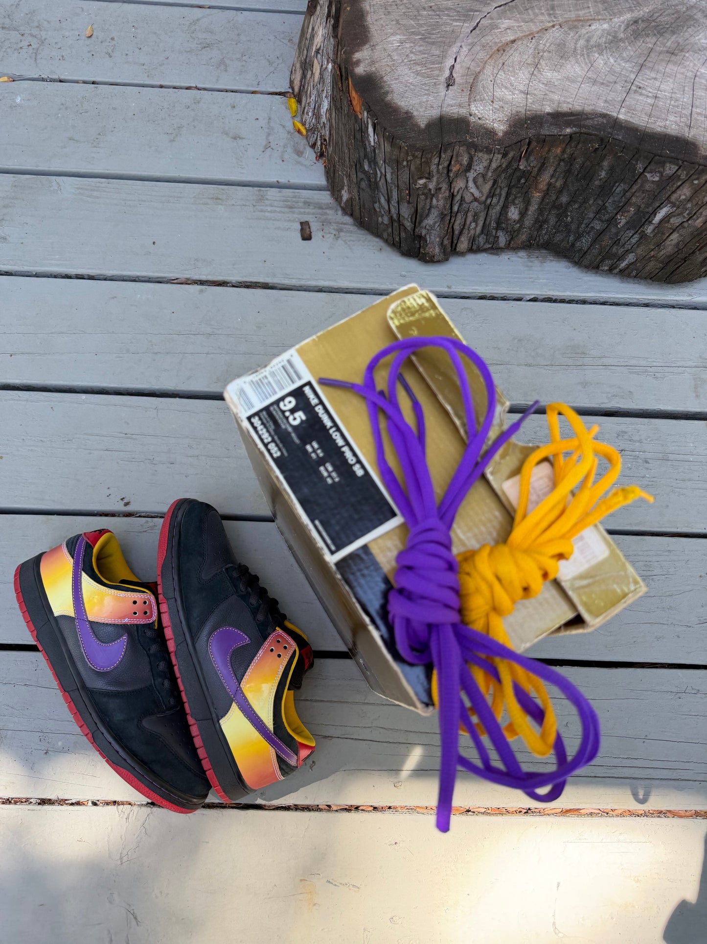 Size 9.5 - Nike Dunk Low Pro SB Appetite For Destruction