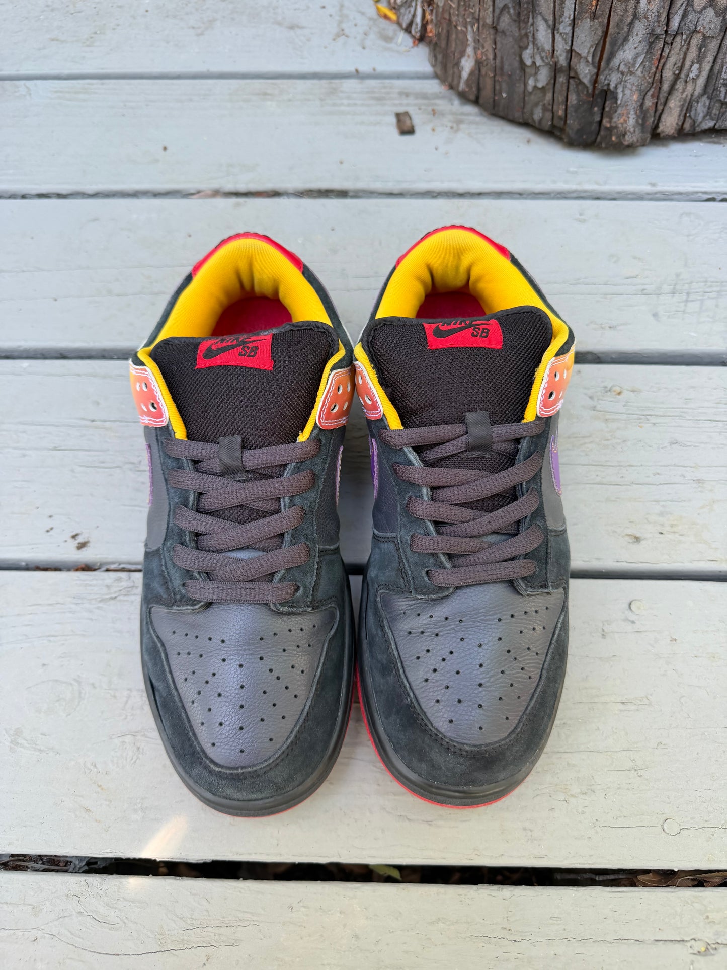 Size 9.5 - Nike Dunk Low Pro SB Appetite For Destruction