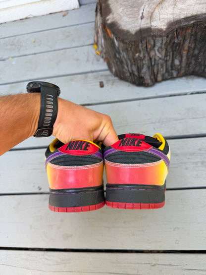 Size 9.5 - Nike Dunk Low Pro SB Appetite For Destruction