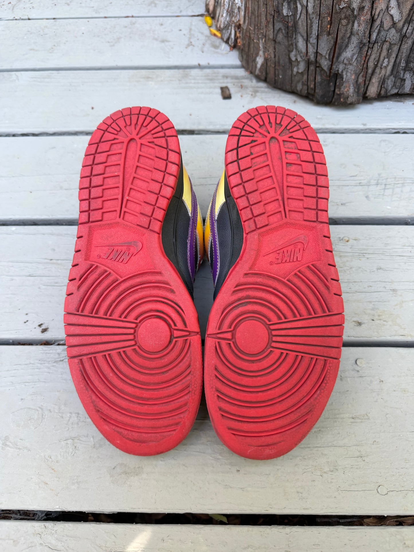 Size 9.5 - Nike Dunk Low Pro SB Appetite For Destruction