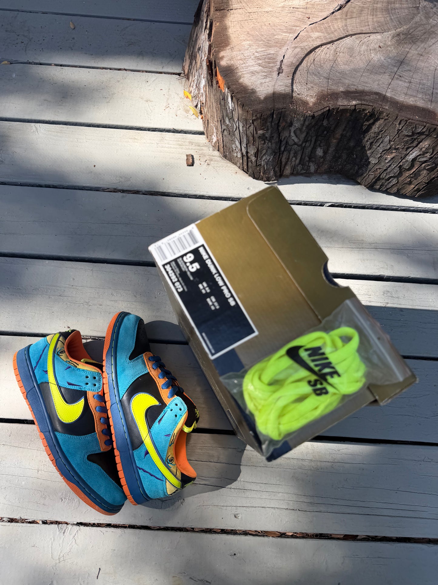 Size 9.5 - Nike Dunk Low Pro SB Skate or Die