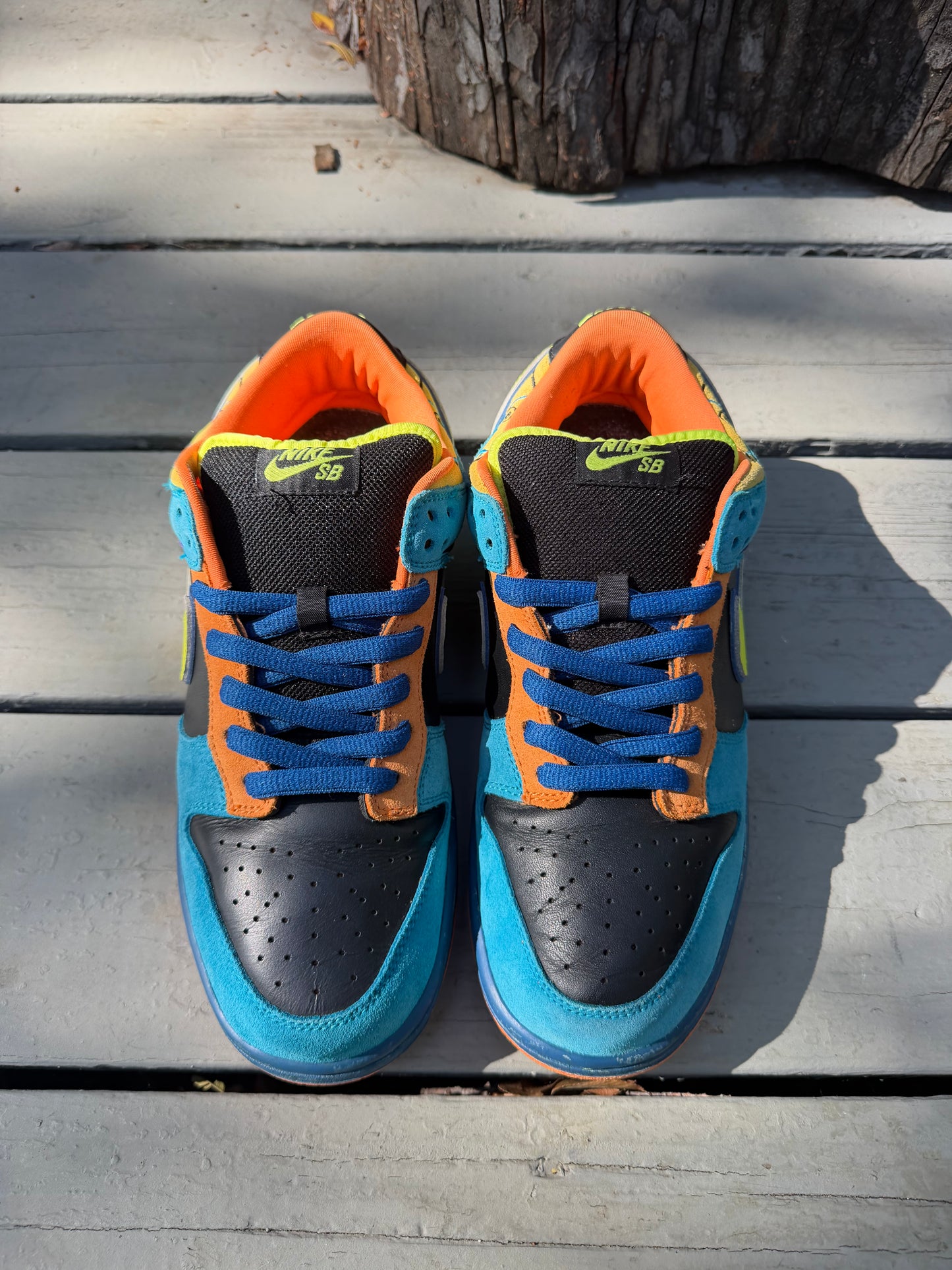 Size 9.5 - Nike Dunk Low Pro SB Skate or Die