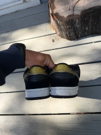 Size 10 - Nike Dunk Low Pro SB Takashi