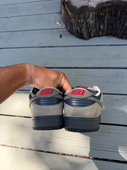 Size 9.5 - Nike Dunk Low Pro SB Bandaid