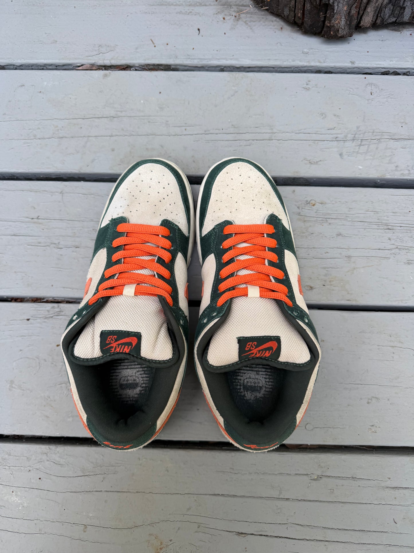 Size 10 - Nike Dunk Low Pro SB Eire