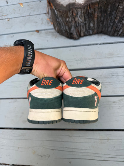 Size 10 - Nike Dunk Low Pro SB Eire