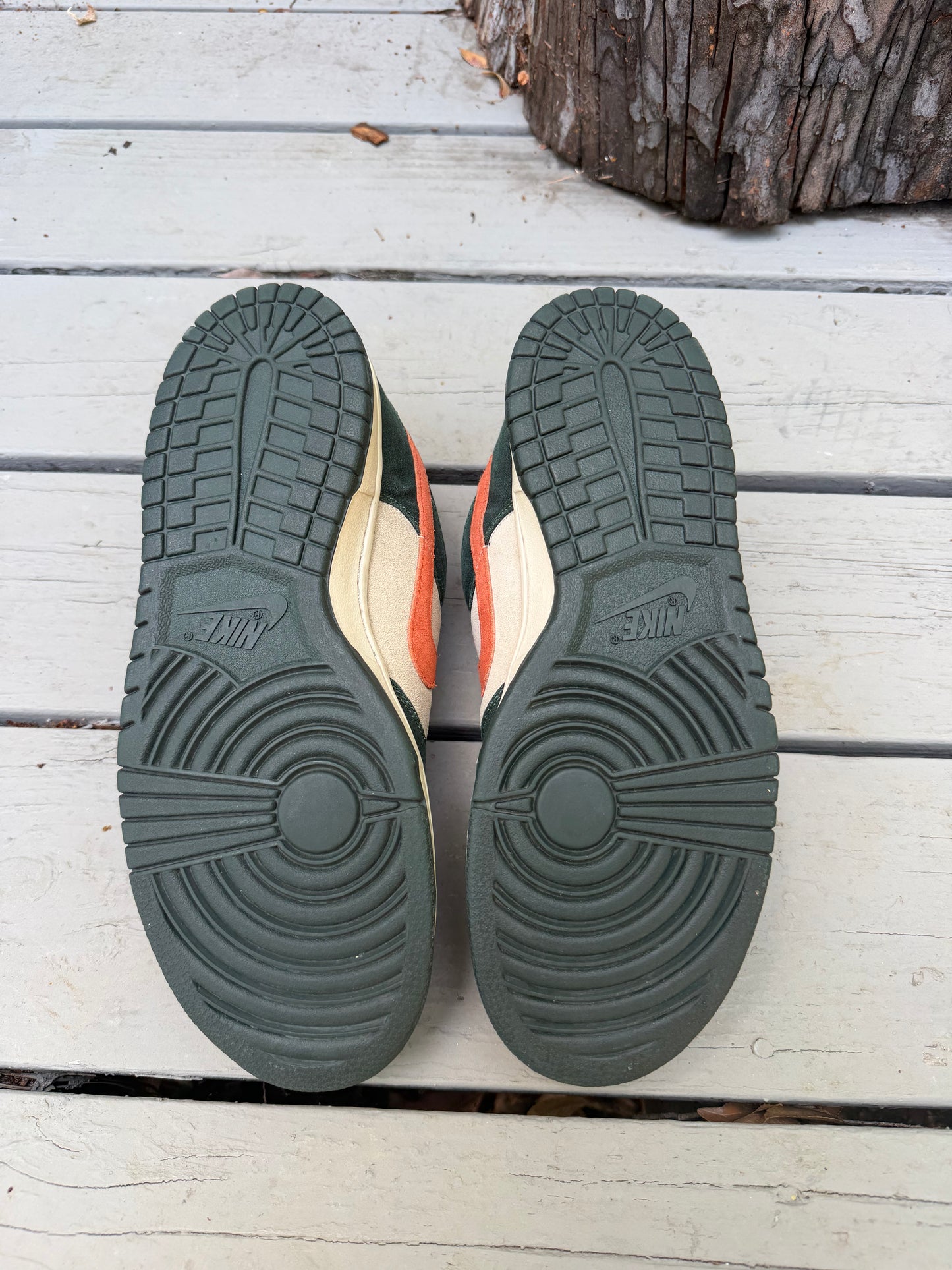Size 10 - Nike Dunk Low Pro SB Eire