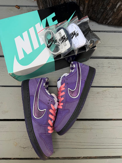 Size 10.5 - Concepts x Nike SB Dunk Low Premium Purple Lobster