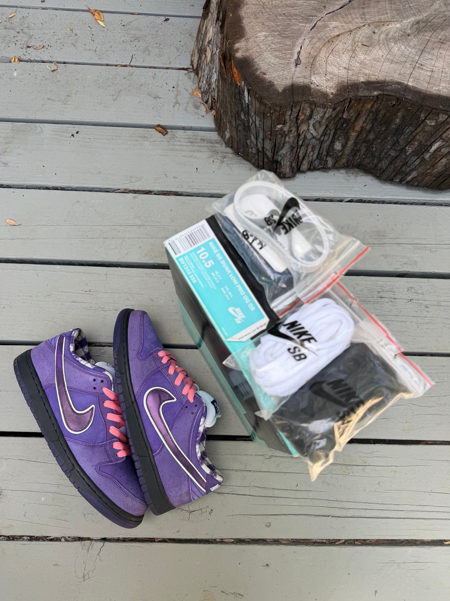Size 10.5 - Concepts x Nike SB Dunk Low Premium Purple Lobster