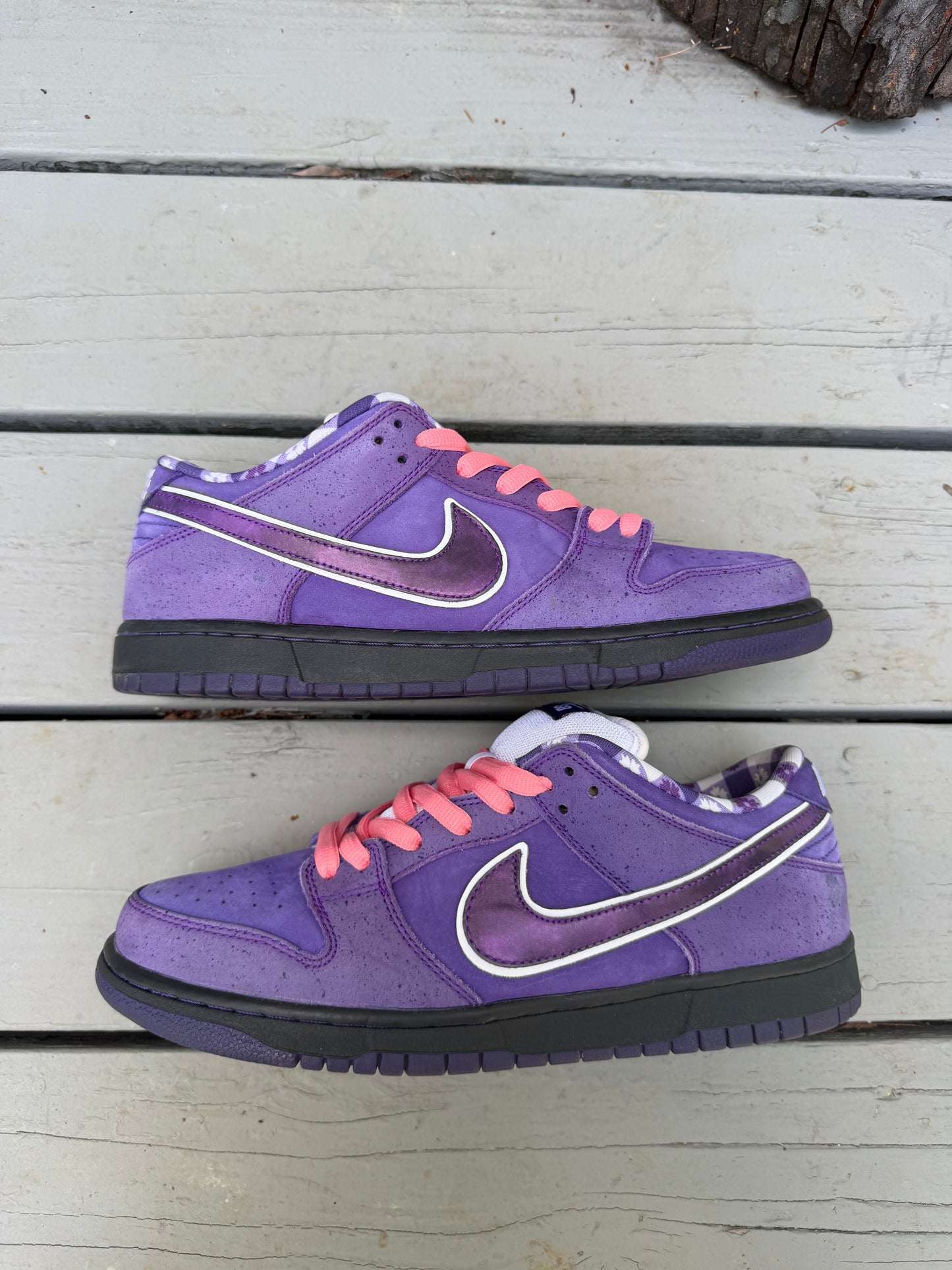 Size 10.5 - Concepts x Nike SB Dunk Low Premium Purple Lobster